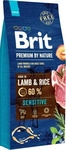 Brit Premium by Nature Dog Sensitive Lamm | 15 kg, Grundpreis: &euro; 4,07 / kg