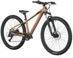Scott Jugend Fahrrad Roxter 600 Alloy Brown