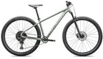 Specialized Mountainbike Rockhopper Comp 29 Gloss Pistachio / White Mountains 20... -