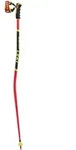 Leki Skist&ouml;cke WCR GS 3D ́23 - 125 - 125