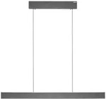Paul Neuhaus LED Pendelleuchte PURE E-Motion platin (grau) elektrisch