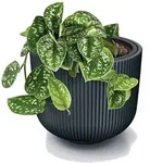 Prosperplast Blumentopf &Uuml;bertopf Milly herausnehmbar Pflanzeinsatz...