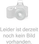 hauck Hochstuhl Alpha+ ab 6 Monaten bis 90 kg Schutzbügel & 5-Punkt-Gurt Grau hauck Hochstuhl Alpha+ ab 6 Monaten bis 90 kg Schutzbügel & 5-Punkt-Gurt Grau