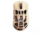 Pulsar Feinmann F01 Noctua Edition