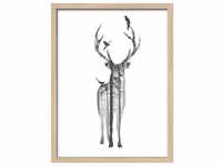 ProArt Framed-Art Slim Scandic 33x43cm Deer With Birds