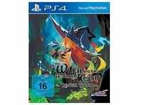 The Witch and the Hundred Knight - Revival Edition - [für PlayStation 4] (Neu