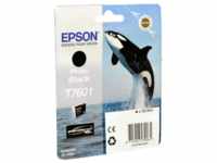 Epson Tinte C13T76014010 Photo Black T7601