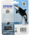 Epson Tinte C13T760740 light black T7607