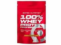 Scitec Nutrition 100% Whey Protein Professional (500 g, Schokolade & Haselnuss)