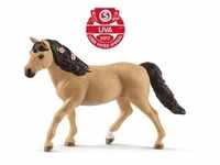 Connemara Pony Stute