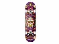 Hydroponic Mexican Skateboard 8.125" Komplettboard Purple Skull 8.125" 