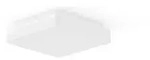 RZB LED-Wand-u. Deckenleuchte 221188.002.2