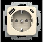 Busch-Jaeger SCHUKO Steckdose 20 EUCB2USBAC-212 2CKA002011A6295