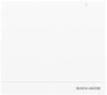 Busch-Jaeger System Access Point 2.0 SAP/S.13 2CKA006200A0154