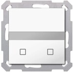 MDT technologies Bewegungsmelder SCN-BWM55T.G2
