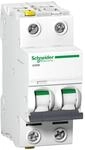 Schneider Electric LS-Schalter A9F04216