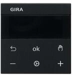 Gira RTR Display 5393005
