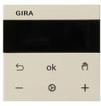 Gira RTR Display 539301