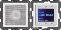 Berker Radio mit Lautspr. DAB+, B 30806089