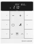 Busch-Jaeger Raumtemperaturregler SBC-F-6.0.11-84 2CKA006220A0890