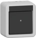 Gira Wippschalter 310630