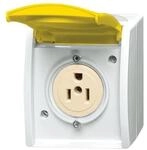 Busch-Jaeger Busch-Nema-Steckdose,15 A 3015 EWN-54 2CKA002124A0025