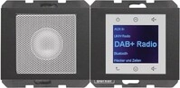 Berker Radio mit Lautspr. DAB+, B 30807006