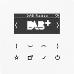 Jung Smart DAB+ Digitalradio DAB LS WW DABLSWW