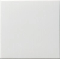 Gira Wippschalter rws-matt 091627