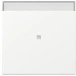 Gira Wippe Kontrollf. 367027