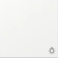 Gira Wippe Symb. Licht 328527