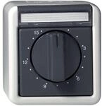 Gira Zeitschalter gr 032030