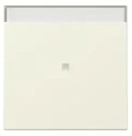 Gira Wippe Kontrollf. 367001