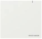 Busch-Jaeger System Access Point SAP.13 2CKA006200A0868