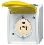 Busch-Jaeger Steckdose 3015 EWN-53 2CKA002124A0023