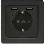 Eltako Schutzkontakt-Steckdose DSS55E+2xUSBA-am 30055899