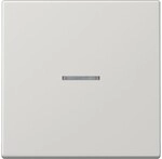 Jung eNet Funk-Steuertaste FM LS 1700 LG FMLS1700LG