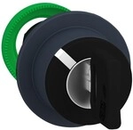 Schneider Electric Schl&uuml;sselsch. Frontelem. ZB5FG2D