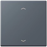 Jung Wippe mit Pfeilsymbolen LC 101P 262 LC101P262