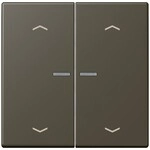 Jung Wippe mit Lichtleiter LC 102 KO5P 241 LC102KO5P241