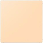 Jung Blind-Abdeckung (gerastet) LC 994 B 223 LC994B223