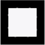 Busch-Jaeger Blindzentralscheibe 1742-44G 2CKA001710A4211