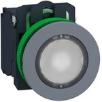 Schneider Electric Leuchtdrucktaster XB5FWCUST04