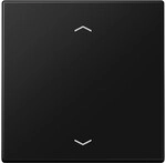 Jung Funk-Wandsender 2-Kanal ENO LS 990 P SWM ENOLS990PSWM