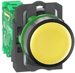 Schneider Electric Funktaste ZB5RTA5