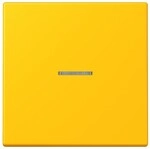 Jung eNet Taster Standard 1fach FM LC 1700 263 FMLC1700263