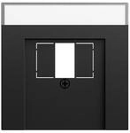Gira Abd. BSF TAE USB System 70 087674