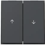 Gira Wippe 2f Pfeil 329467