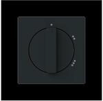 Busch-Jaeger Zentralscheibe 2542 DR/02-45M 2CKA001710A4156