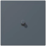 Jung Abdeckung mit Kipphebel LC 12-0 R 0 262 LC12-0R0262